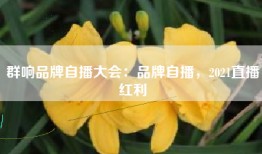 群响品牌自播大会：品牌自播，2021直播红利