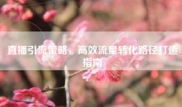 直播引流策略，高效流量转化路径打造指南