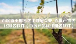 百度首页排名优化哪家专业_百度产物优化排名软件（百度产品优化排名软件）