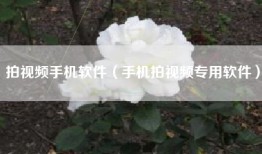 拍视频手机软件（手机拍视频专用软件）