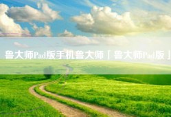 鲁大师Pad版手机鲁大师「鲁大师Pad版」