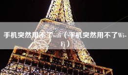 手机突然用不了wifi（手机突然用不了Wi-Fi）