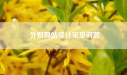 外贸网站设计常见问题