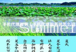 手机代理服务（手机代理服务器怎么设置）