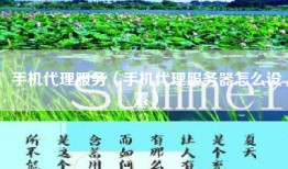 手机代理服务（手机代理服务器怎么设置）