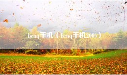 benq手机（benq手机2006）
