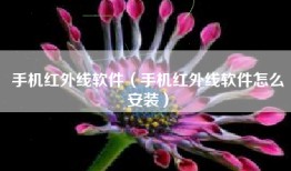 手机红外线软件（手机红外线软件怎么安装）