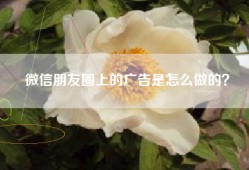 微信朋友圈上的广告是怎么做的？
