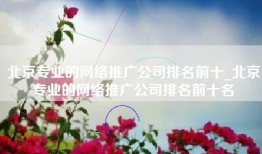 北京专业的网络推广公司排名前十_北京专业的网络推广公司排名前十名