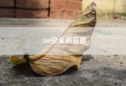 360安全浏览器