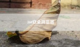 360安全浏览器