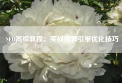 SEO高级教程：实战搜索引擎优化技巧