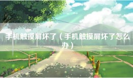 手机触摸屏坏了（手机触摸屏坏了怎么办）