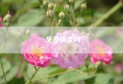 免费收录网