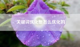 关键词优化是怎么优化的