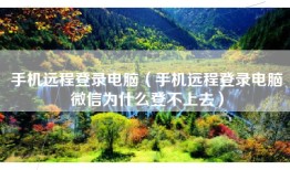 手机远程登录电脑（手机远程登录电脑微信为什么登不上去）