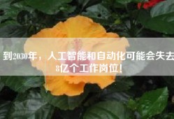 到2030年，人工智能和自动化可能会失去8亿个工作岗位！