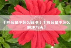 手机音量小怎么解决（手机音量小怎么解决方法）