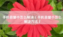 手机音量小怎么解决（手机音量小怎么解决方法）