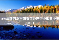 2023年陕西本土国有房地产企业销售业绩TOP10