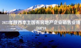 2023年陕西本土国有房地产企业销售业绩TOP10