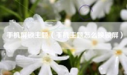 手机屏锁主题（手机主题怎么换锁屏）