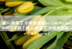 被vivo种草了 小屏真旗舰vivo X200 Pro mini小尺寸手机「被vivo种草了 小屏真旗舰vivo X200 Pro mini」