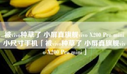 被vivo种草了 小屏真旗舰vivo X200 Pro mini小尺寸手机「被vivo种草了 小屏真旗舰vivo X200 Pro mini」