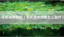 手机视频倒放（手机视频倒放怎么制作）