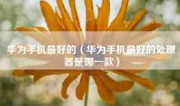 华为手机最好的（华为手机最好的处理器是哪一款）