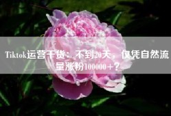 Tiktok运营干货：不到20天，仅凭自然流量涨粉100000+？
