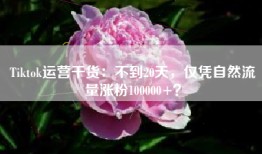 Tiktok运营干货：不到20天，仅凭自然流量涨粉100000+？