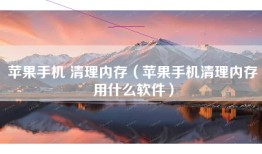 苹果手机 清理内存（苹果手机清理内存用什么软件）