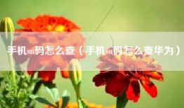 手机sn码怎么查（手机sn码怎么查华为）