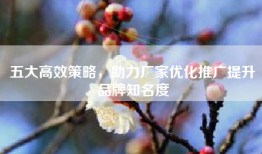 五大高效策略，助力厂家优化推广提升品牌知名度