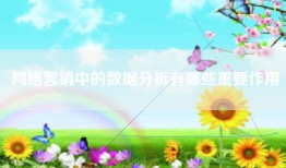 网络营销中的数据分析有哪些重要作用