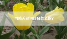 网站关键词排名怎么做？