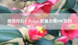 高效办公！Python 批量生成PDF文档