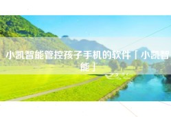 小凯智能管控孩子手机的软件「小凯智能」