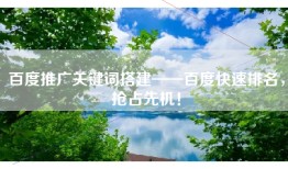 百度推广关键词搭建——百度快速排名，抢占先机！