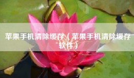 苹果手机清除缓存（苹果手机清除缓存软件）