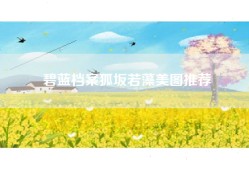 碧蓝档案狐坂若藻美图推荐