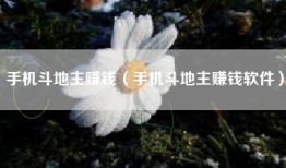 手机斗地主赚钱（手机斗地主赚钱软件）
