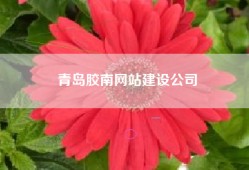 青岛胶南网站建设公司