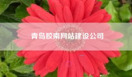 青岛胶南网站建设公司