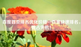 百度首页排名优化价格—百度快速排名，抢占先机！