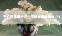 手机玩奥奇传说（手机咋玩奥奇传说）