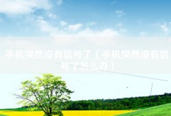 手机突然没有信号了（手机突然没有信号了怎么办）