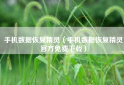 手机数据恢复精灵（手机数据恢复精灵官方免费下载）
