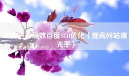 如何进行高效百度SEO优化（提高网站曝光率）